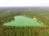 Участок у озера, в лесу. Олешня.Голубые озёра.