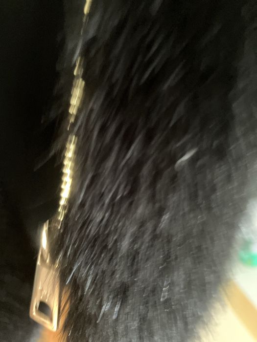 Colote preto em pelo