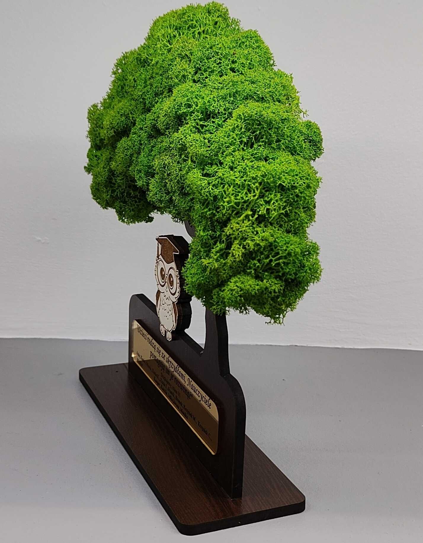 Drzewo bonsai mech 3D stojące zakończenie roku pan sowa dowol grawer