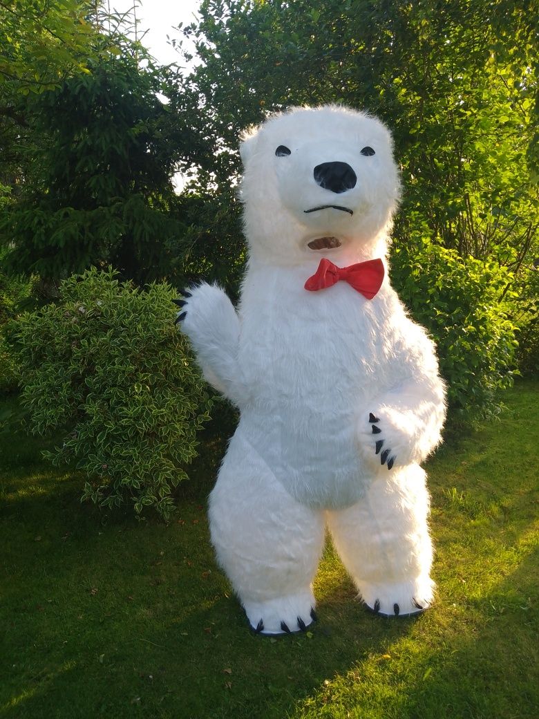 Do wynajęcia kapibara , biały miś , tygrys i wiele innych Animacje