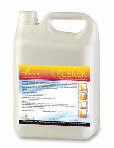 Galvit Czosnek 1L