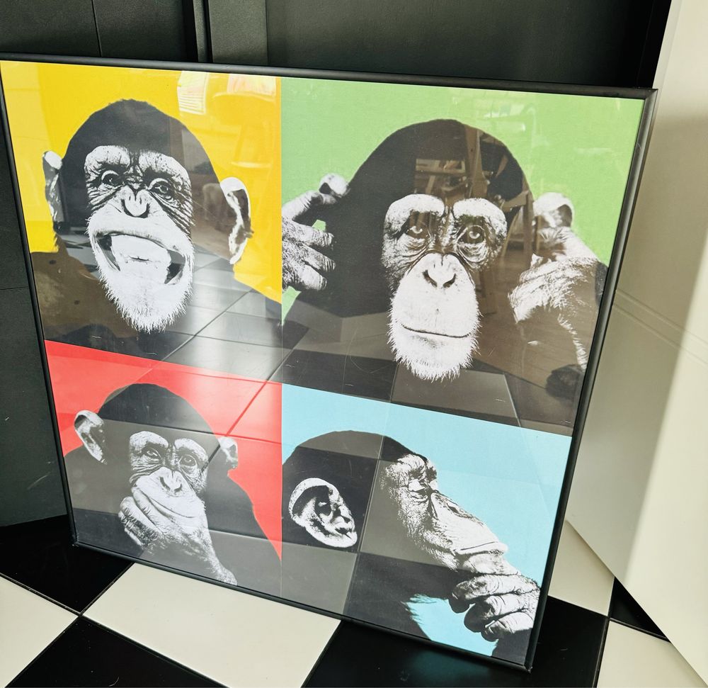 Obraz w ramie plakat grafika loft małpy 70x70