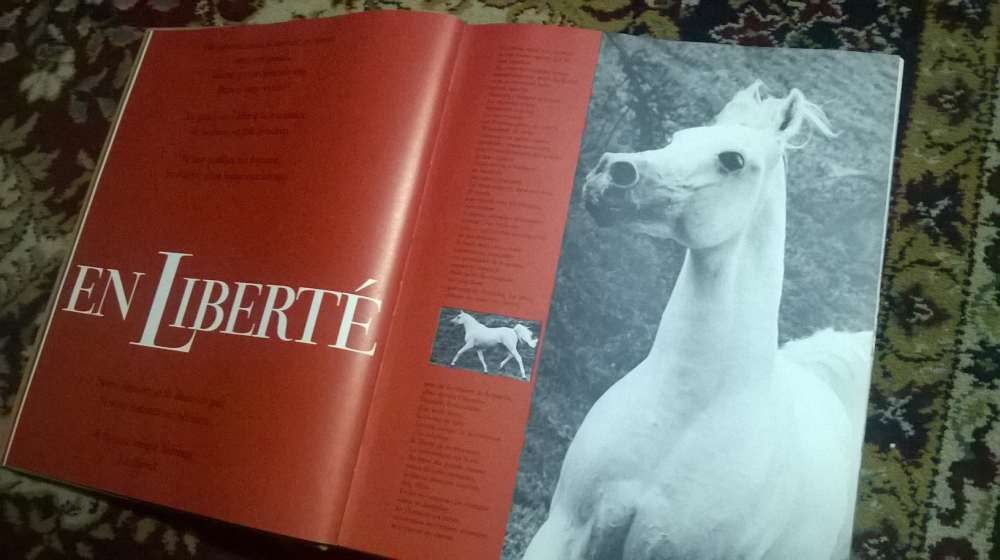 "Le Royaume du Cheval" - (Livro sobre a História do Cavalo) - 1969