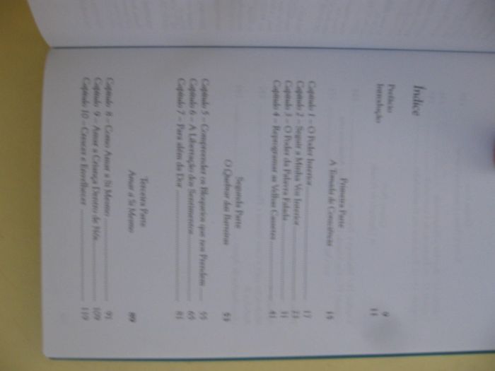 O Poder está dentro de si de Louise L. Hay