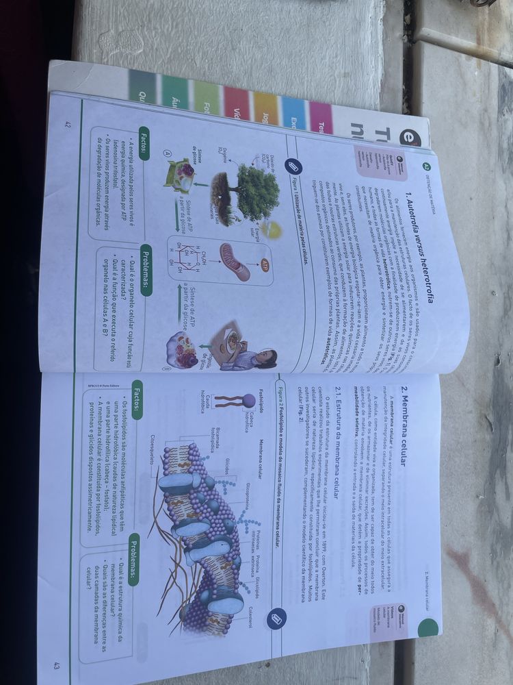Manual biologia curso profissional 10ano
