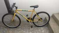 Bicicleta AGC OCEAN