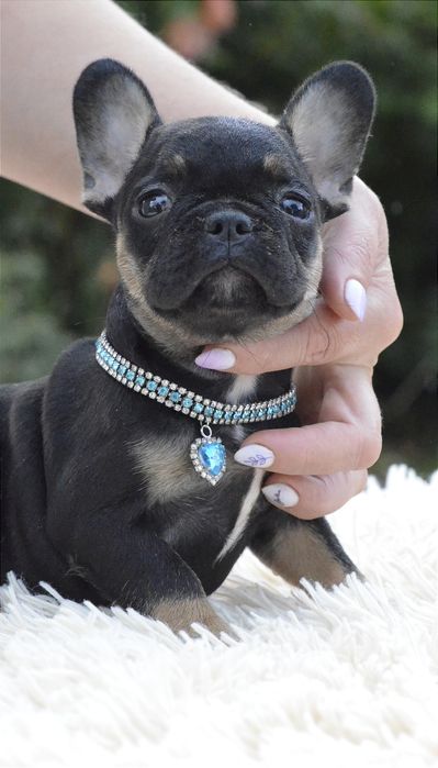 Неймовірно красива дівчинка міні.