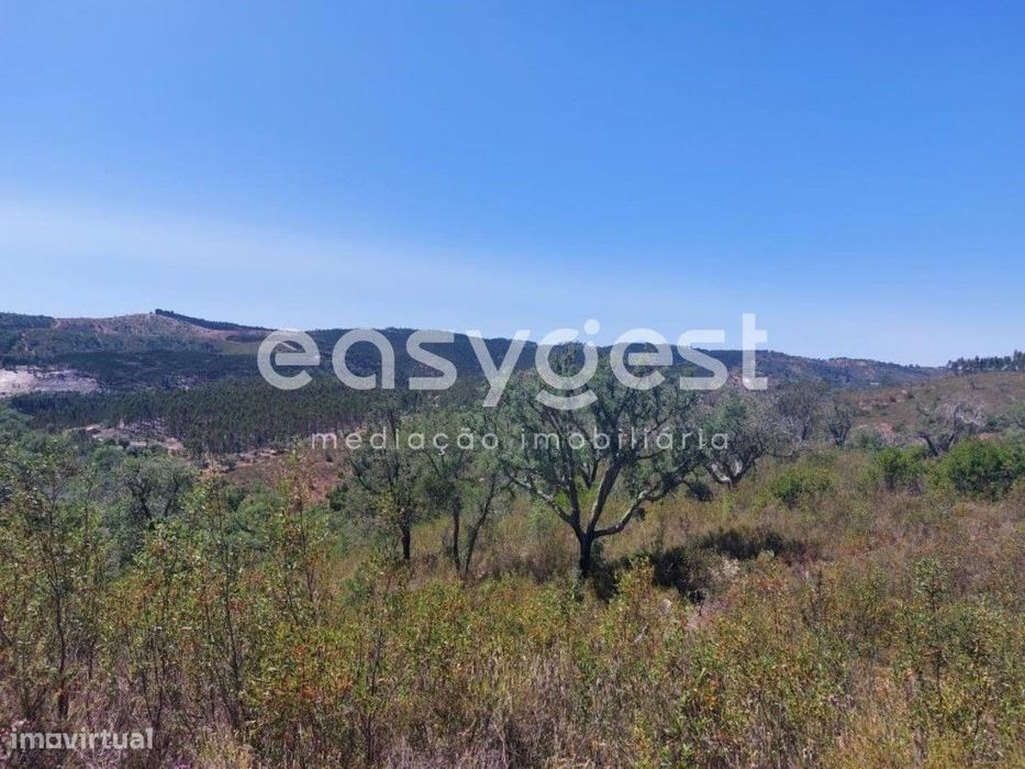 Terreno Rústico com 68.250m2 localizado na freguesia de Luzianes-Gare