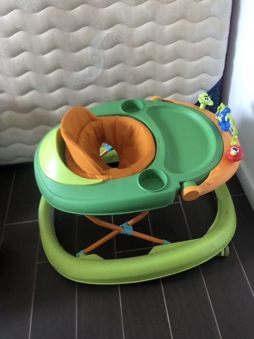 Aranha bebe da chico