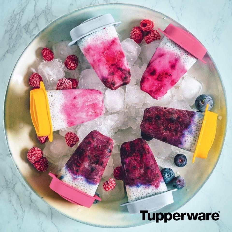 Formas de Gelados Tupperware