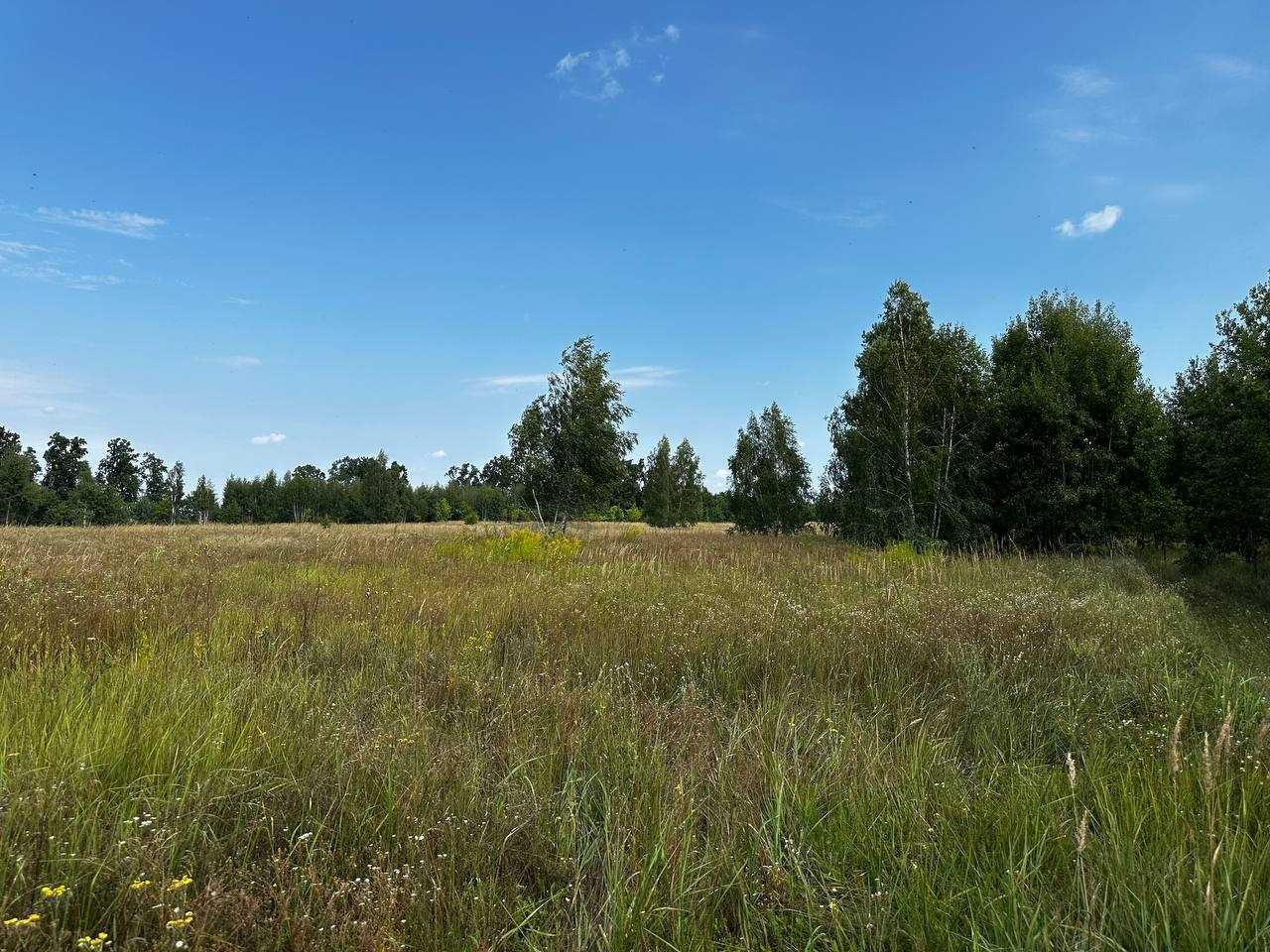 Продаж ділянки 201 сотка (ОСГ). Біля лісу. Озеро - 1км. ID:735