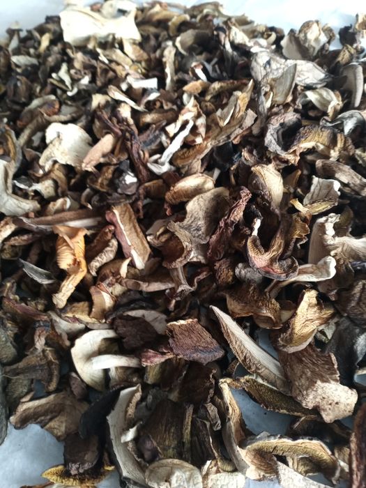 Grzyby suszone mieszane