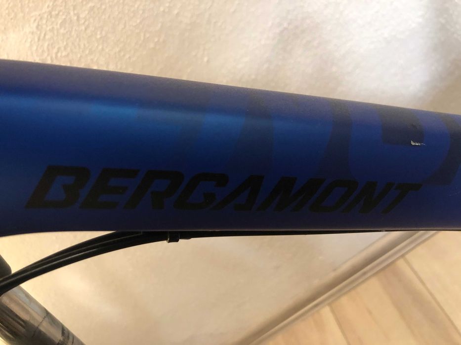 Rower BERGAMONT Revox 4 Blue