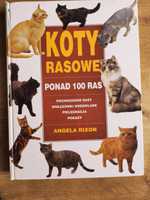 Koty rasowe ponad 100 ras