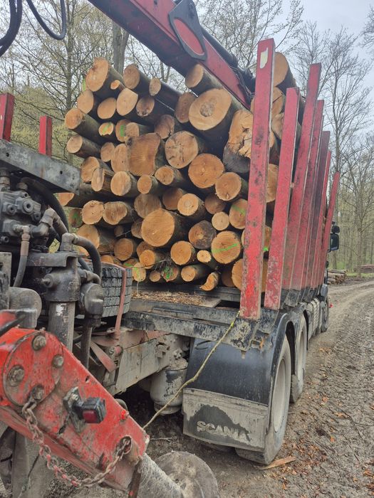 Drewno opałowe i kominkowe BUK