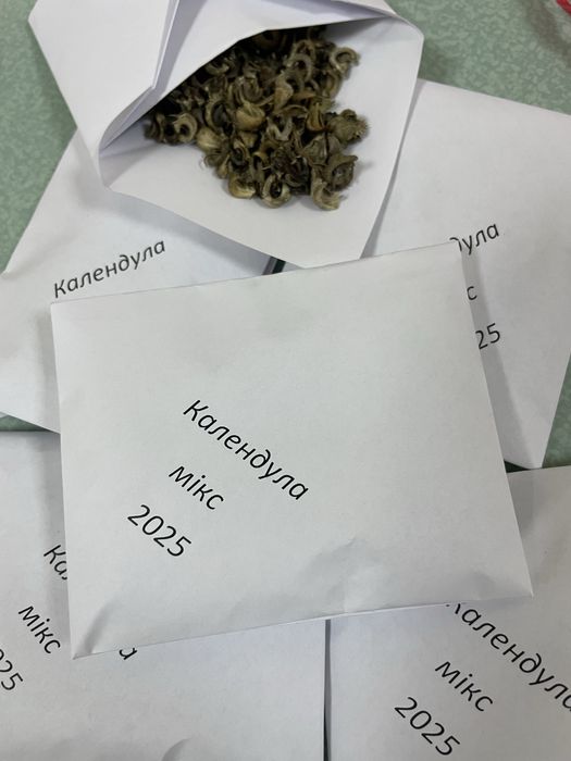 Календула ( нагідки)