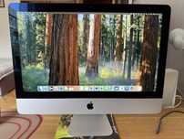 iMac 21,5" 4K 2019 | i3 3.6GHz | 16GB RAM | Radeon 555X | SSD 512GB
