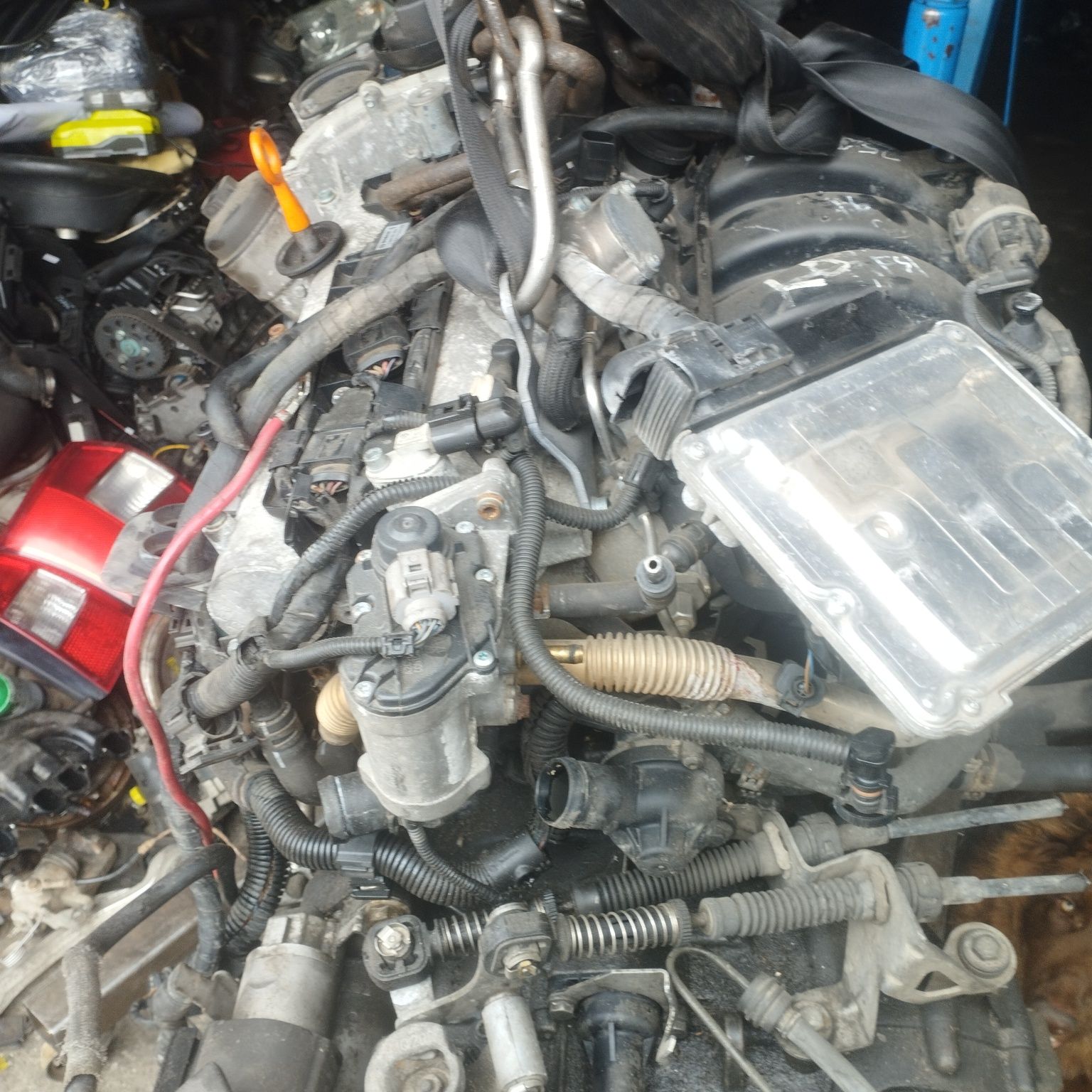 Volkswagen Golf V 1.6 fsi kompletny silnik BLF 16bar gwarancja