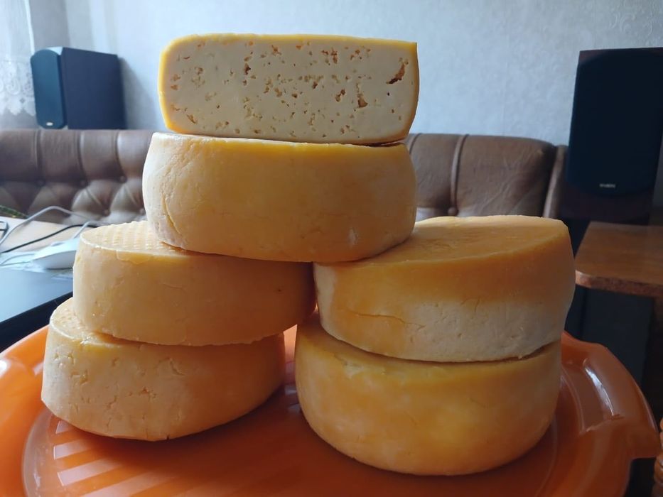 Альпійські кози на продаж