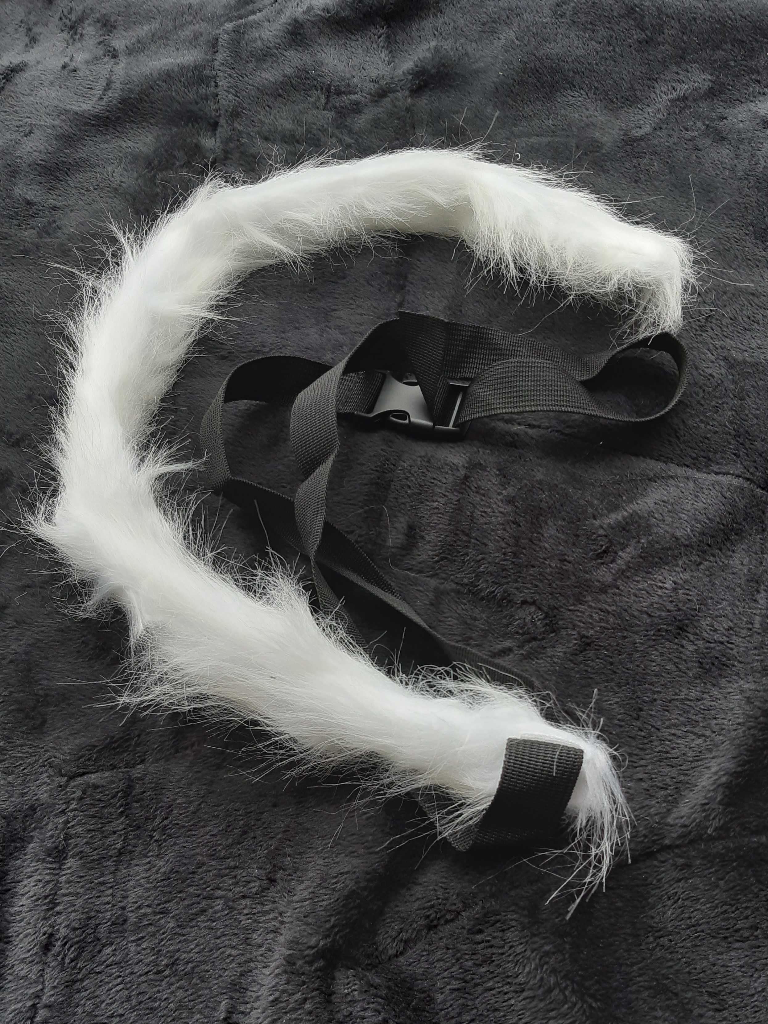 Kostium kota furry therian cosplay kocie uszy ogon obroża kot