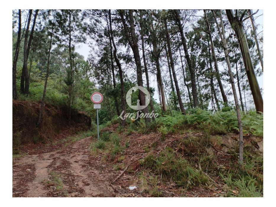 Terreno de 1100m² no Parque Natural do Gerês