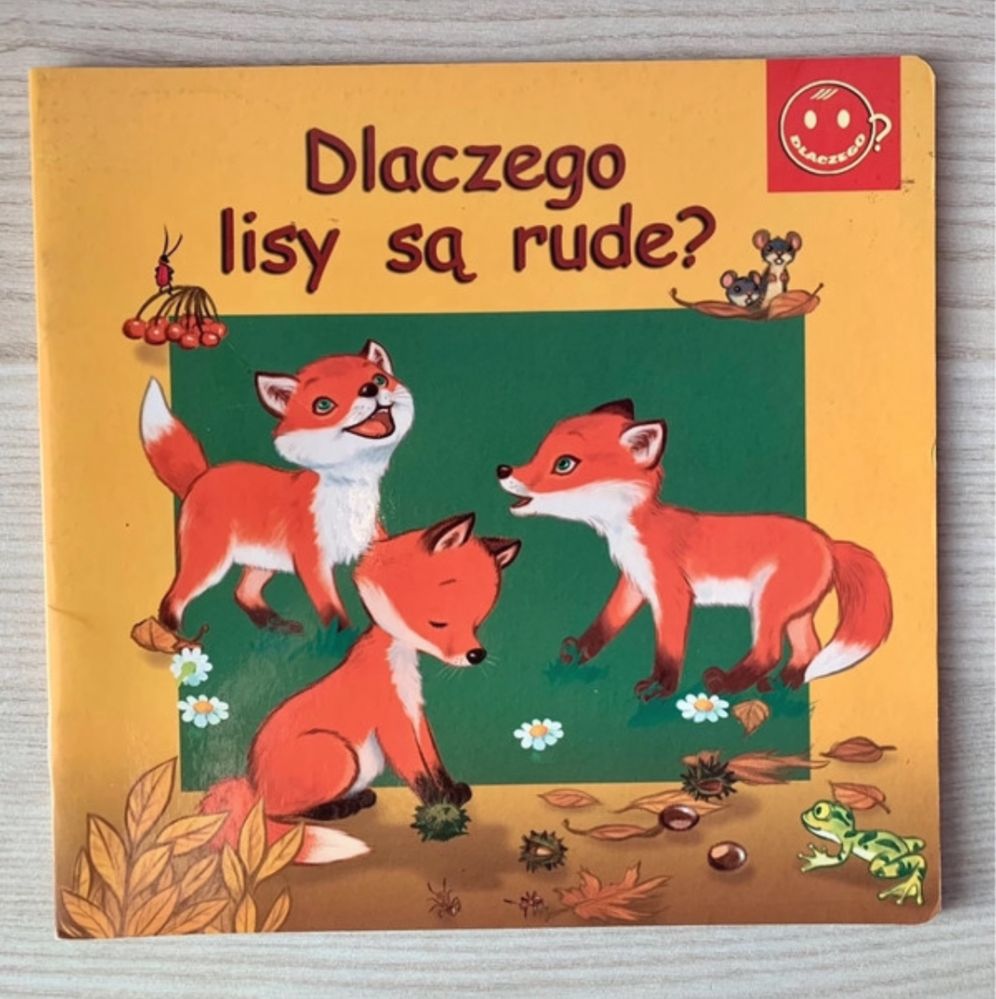 Bajka Książeczka książka „Dlaczego lisy są rude?” Sandomierz