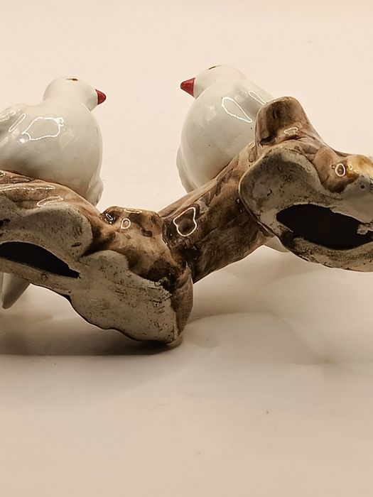 Para gołębi turkawek na gałęzi w Włoskim stylu