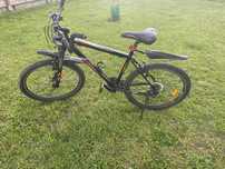 rower BEST pulser pro