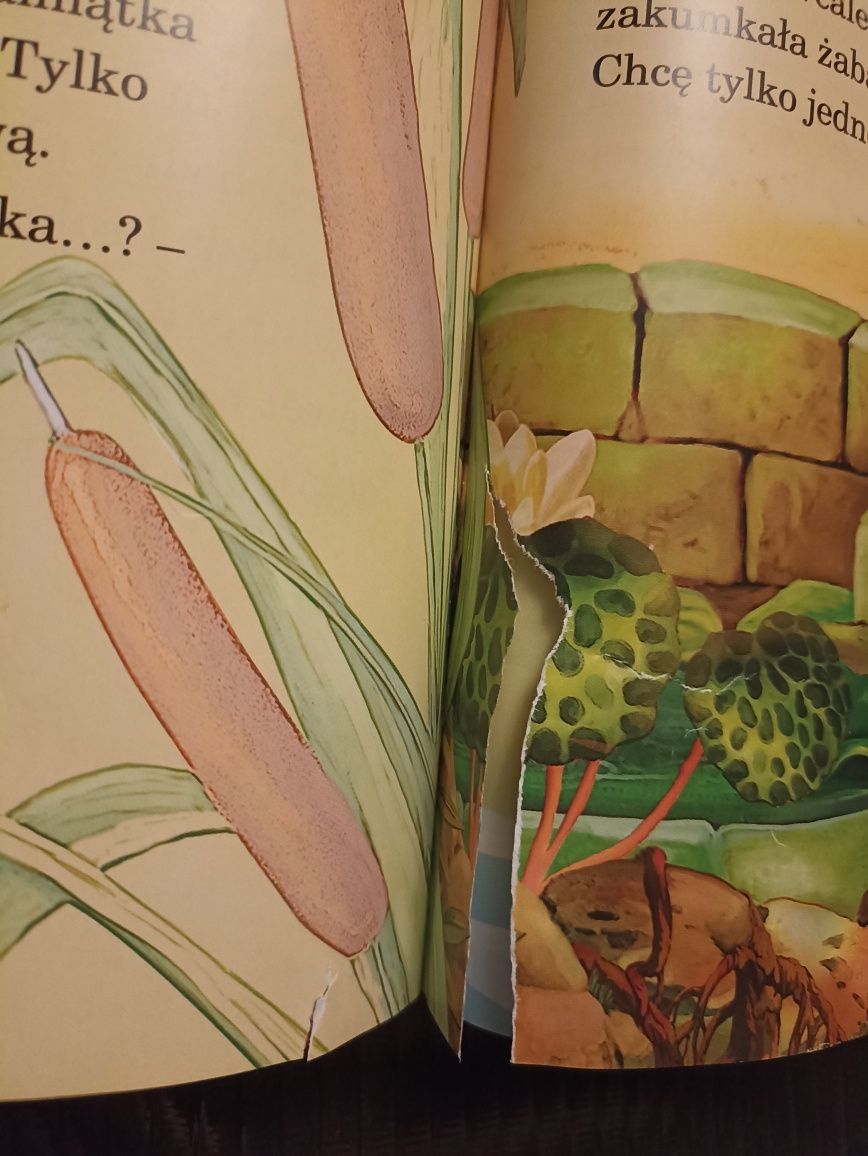 Ilustrowana książka Cudowne Baśnie Braci Grimm