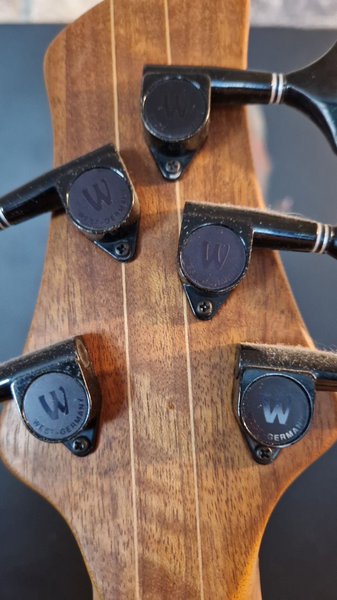 Bas GMR V fretless