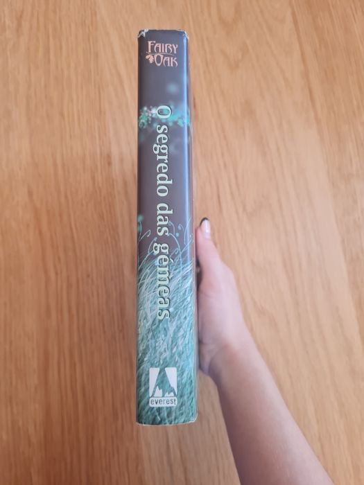 Fairy Oak: o segredo das gémeas