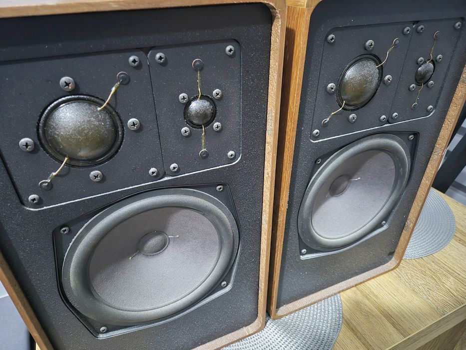 Kolumny monitory Acron 500b