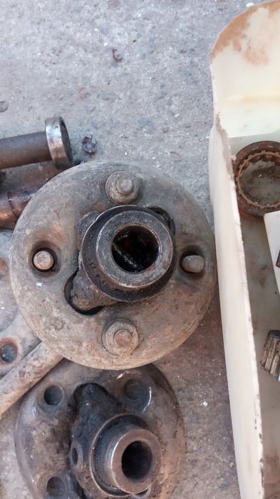 муравей инвалидка  кпп