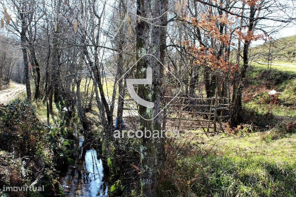 Terreno 16 500m2 - Paisagem protegida do Corno de Bico, Vascões, Pared