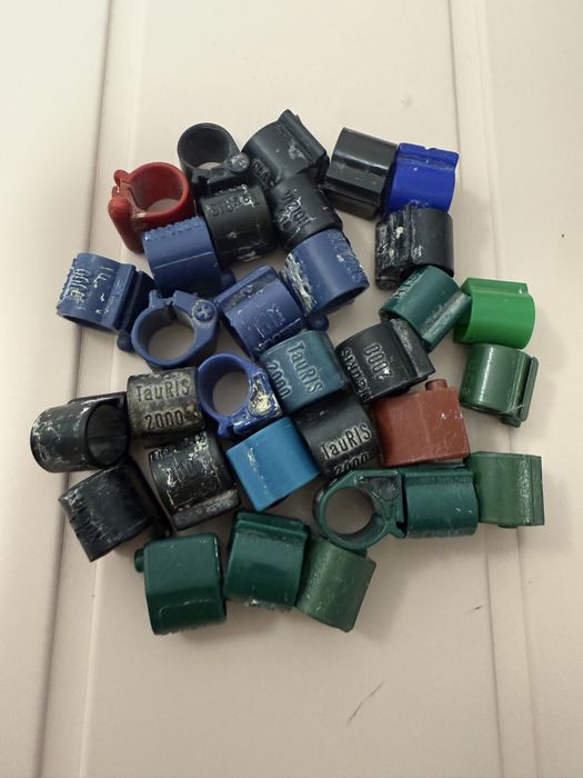 Tipes tipesy obraczka 32 sztuki