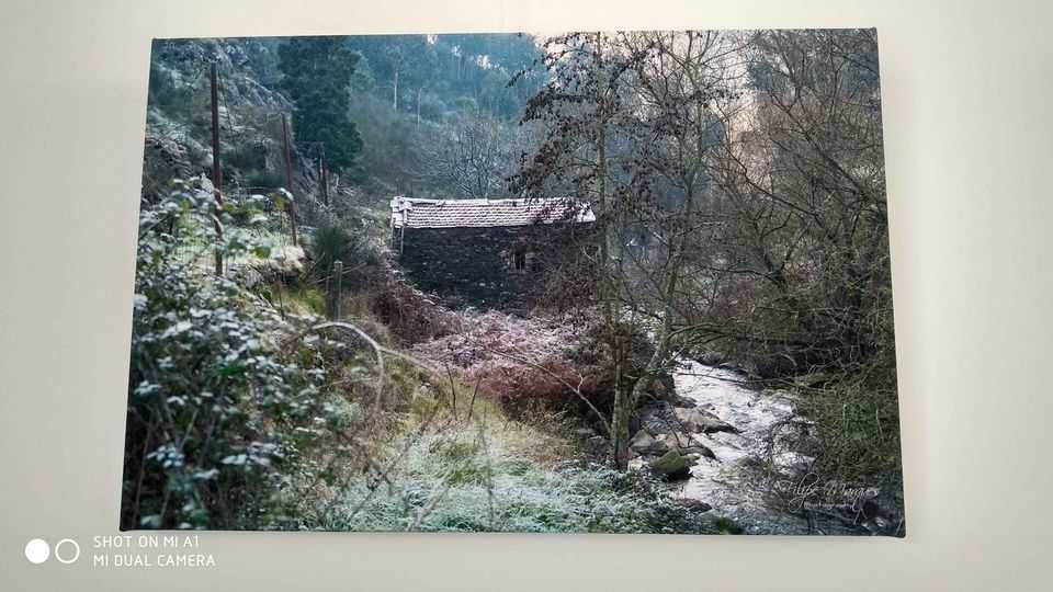 Fotos Paisagens de Valongo