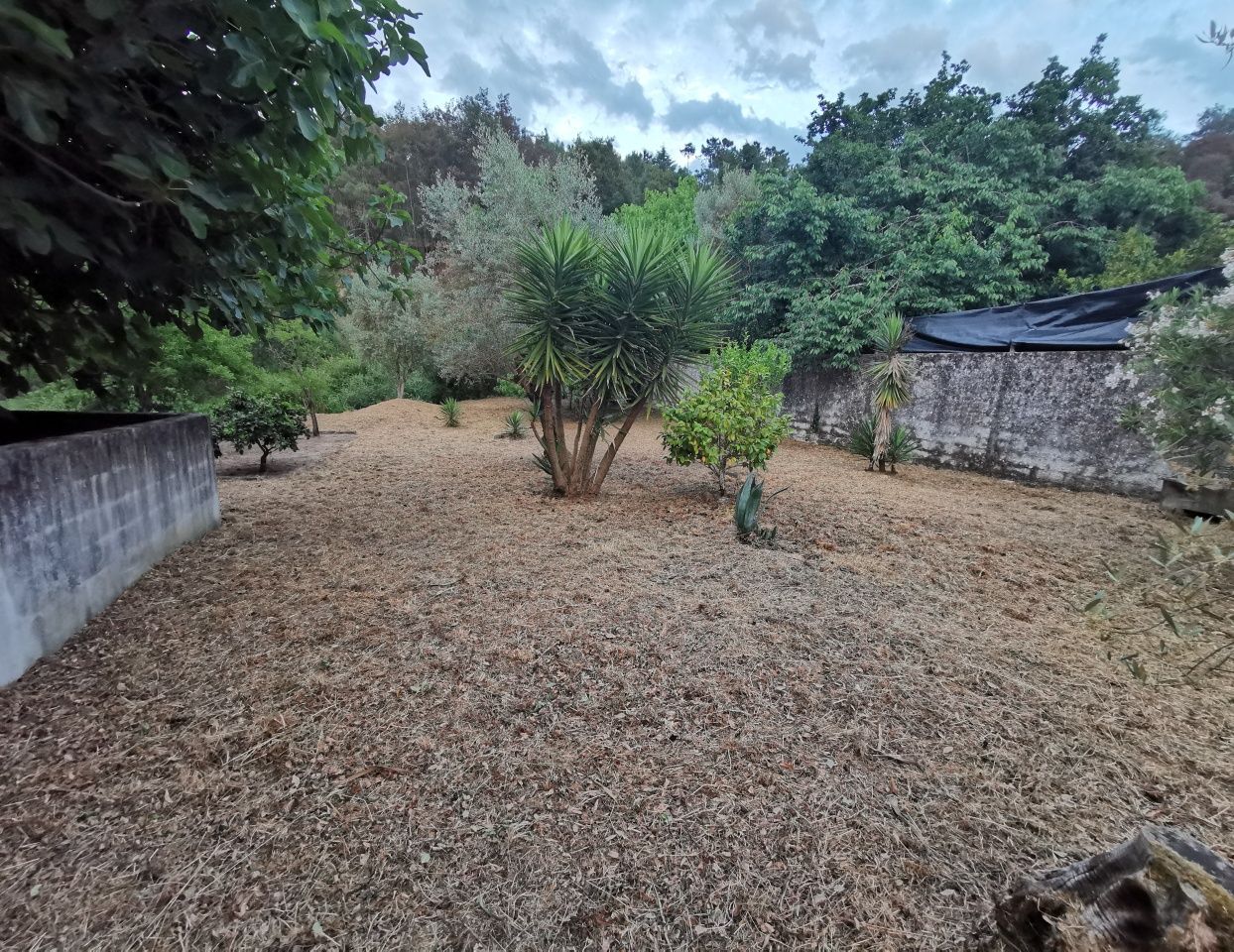 Limpezas de terrenos lavagem de muros e telhados