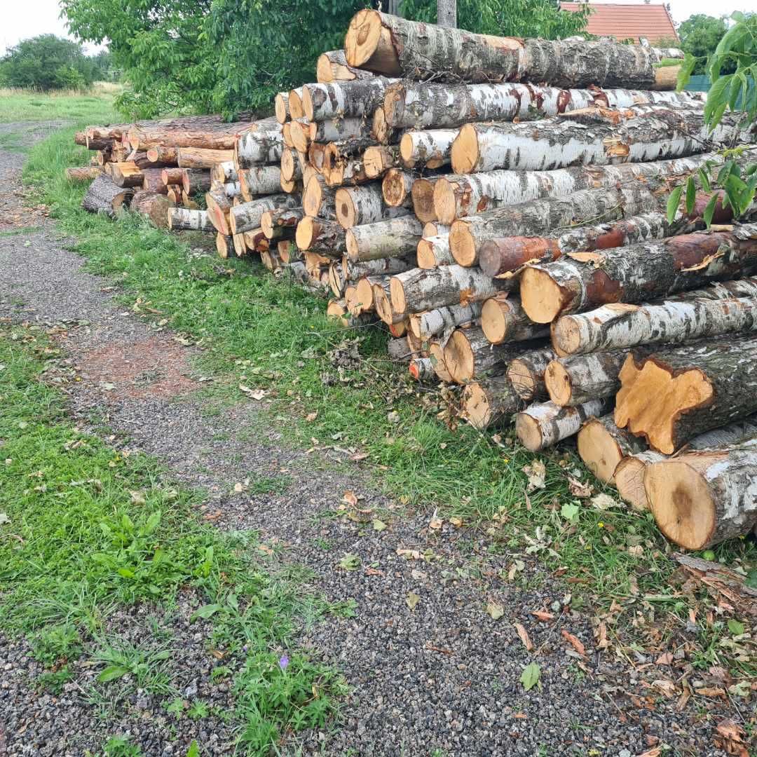 Drewno Kominkowe Opałowe Buk Brzoza Świerk