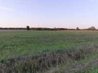 Działka rolna 3.2ha