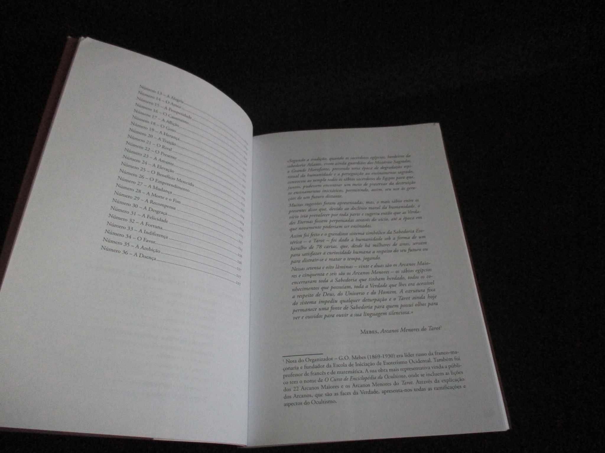 Livro O Tarot Divinatório Dulce Leal Abalada