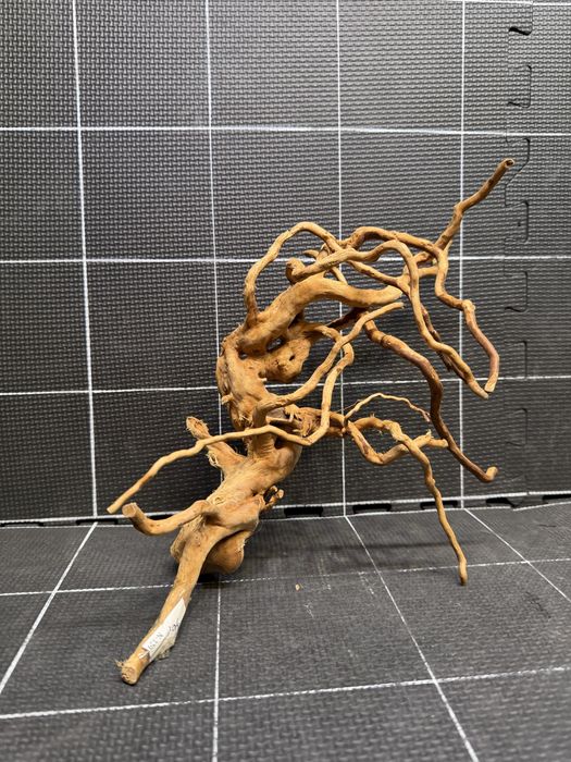 Korzeń red moor wood n-329