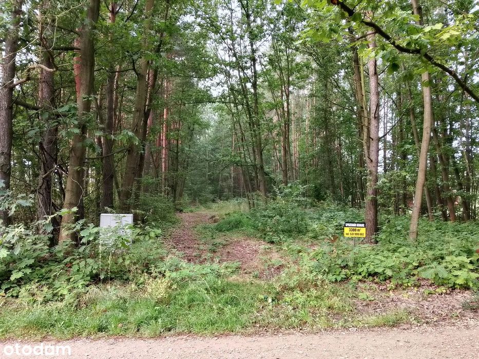 Sprzedam działkę budowlaną 3300m2 pod domki letniskowe