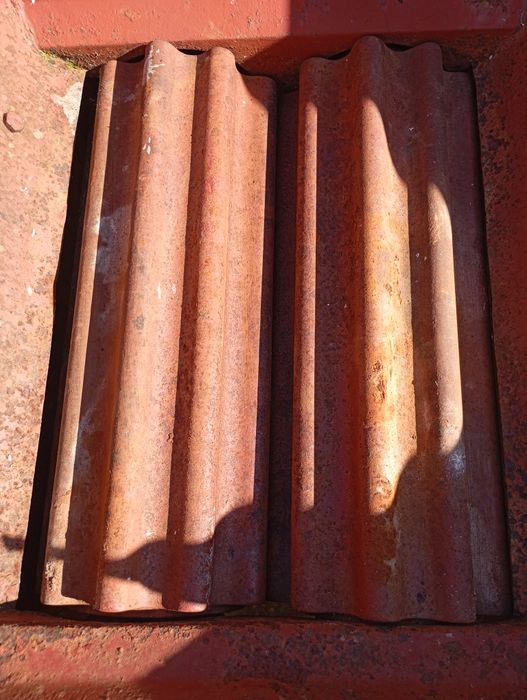 Esmagador Fas  (esmagador Silva)