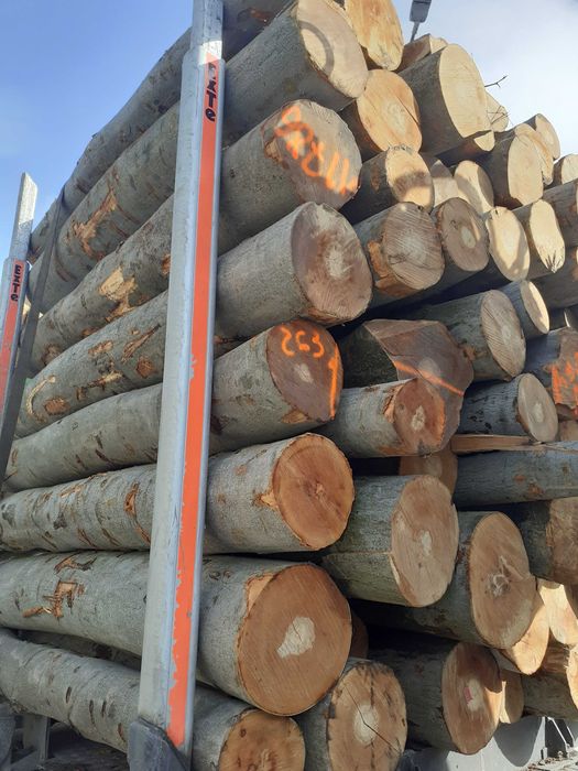 Drewno opalowe BUK Brzoza Grab Jesion Akacja.