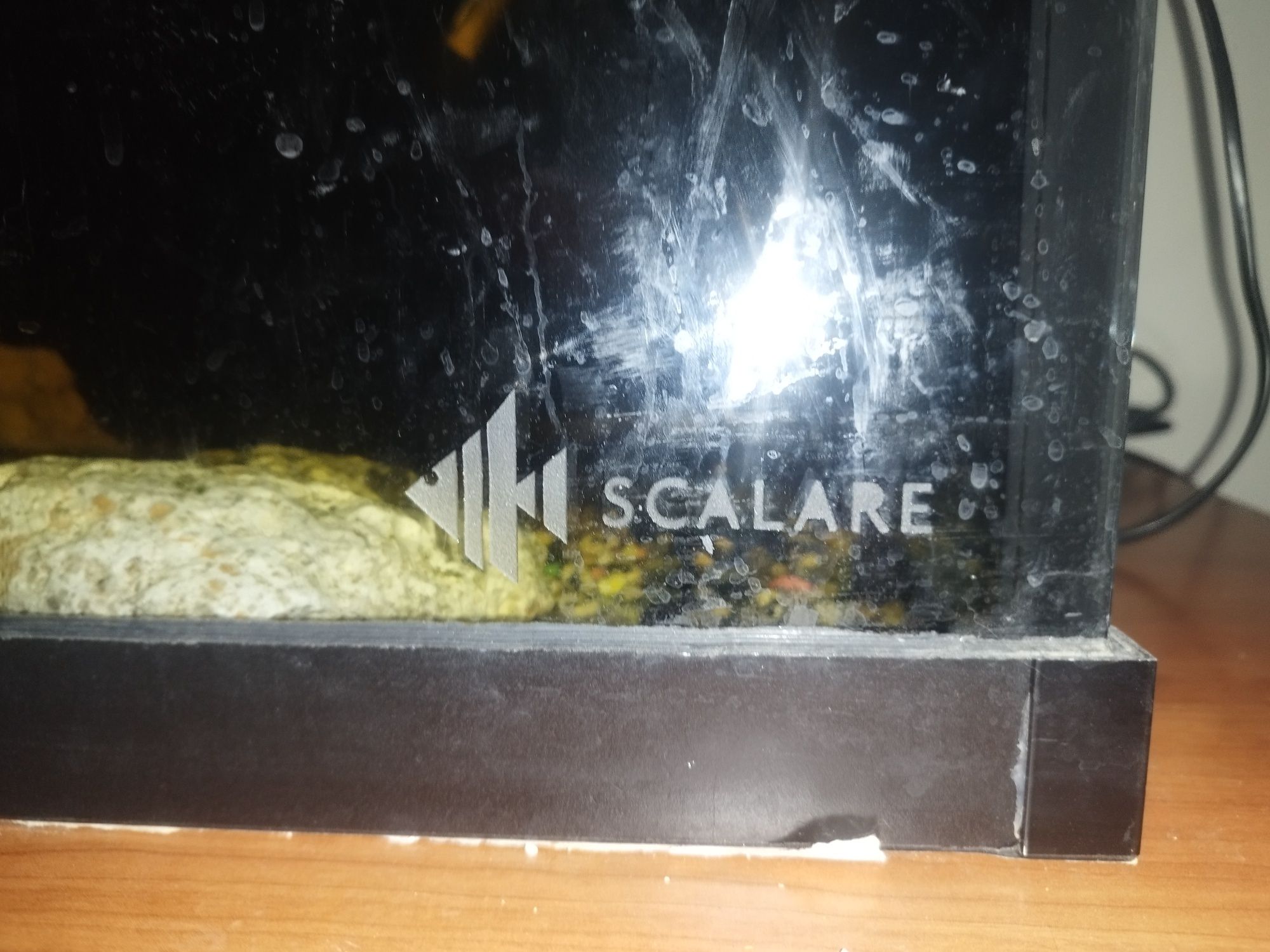 Vendo aquário para tartarugas