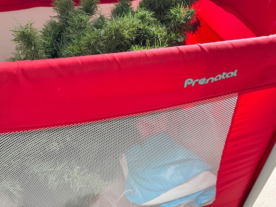 Cama de viagem da pré-natal com o colchão incluído em ótimo estado