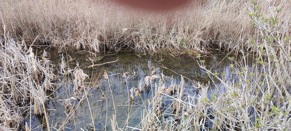 Sprzedam dwie działki przy jeziorze Kruklin