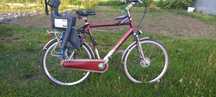Rower holenderski Union