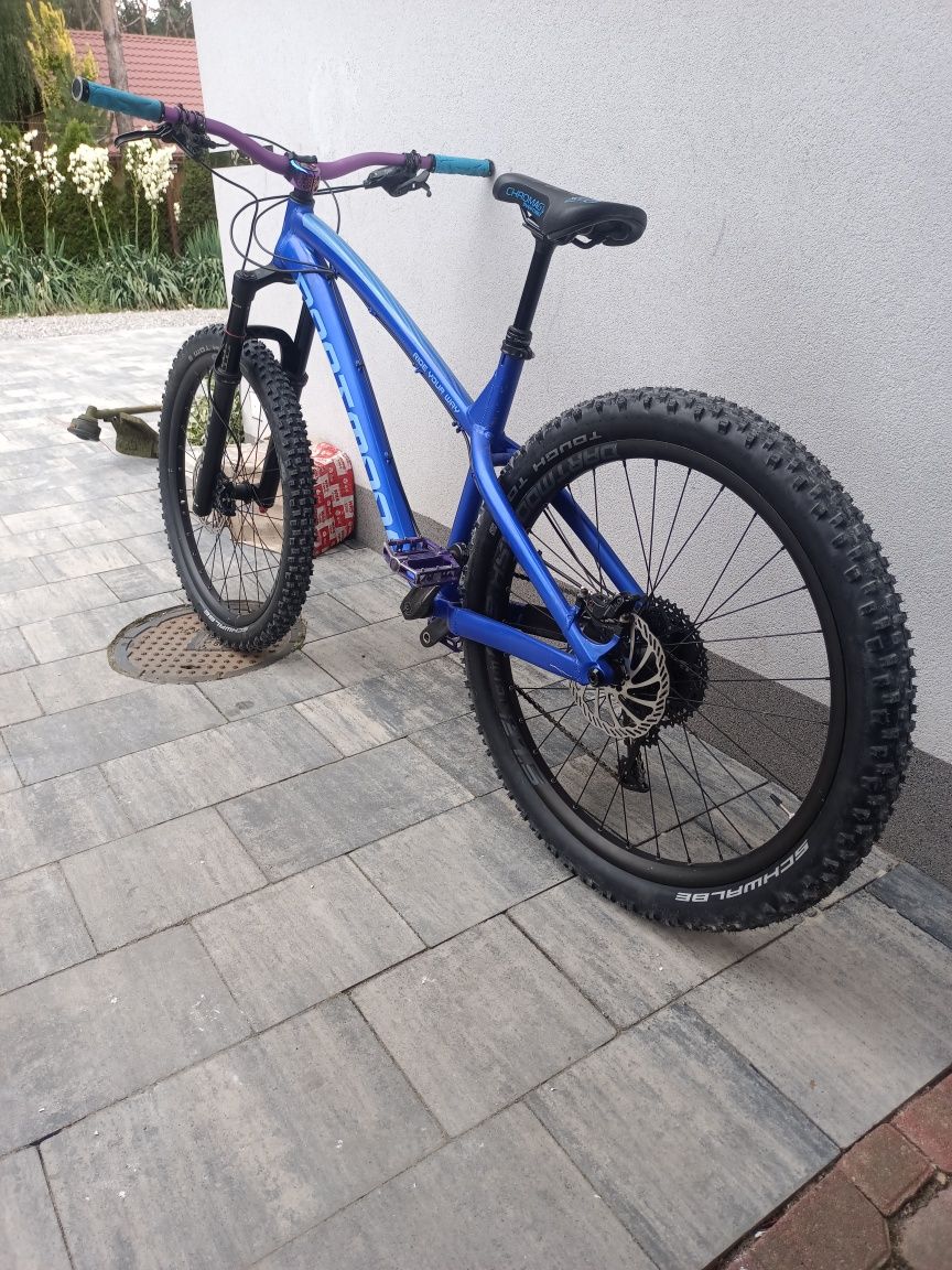 Dartmoor Hornet 27.5 L 2019 PILNE