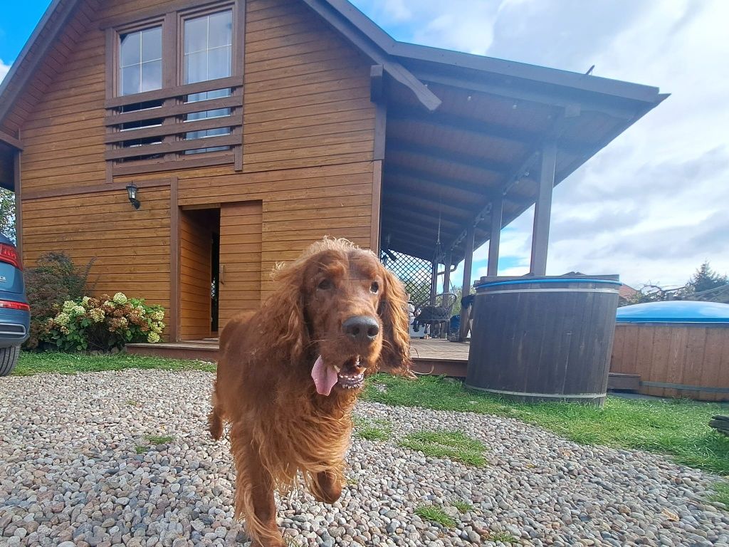 dom VIP Kaszuby sauna bania staw kominek